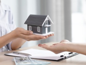 Property Dealer